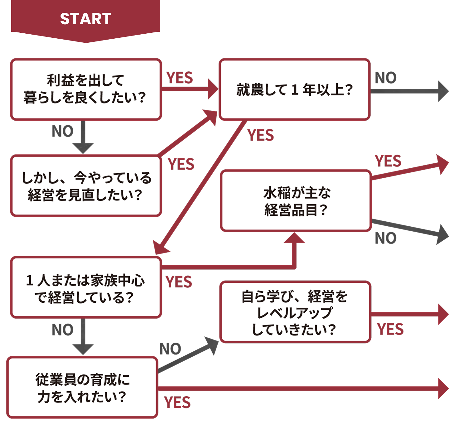 コース診断フローチャート